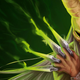 Illustration for article titled Slay The Spire Is Being Turned Into A Board Game